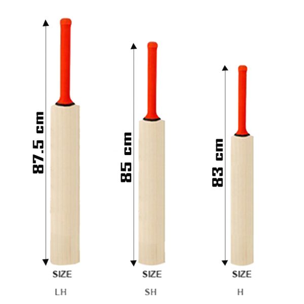 Cricket Bat Sizes | Cricket Bat Dimensions